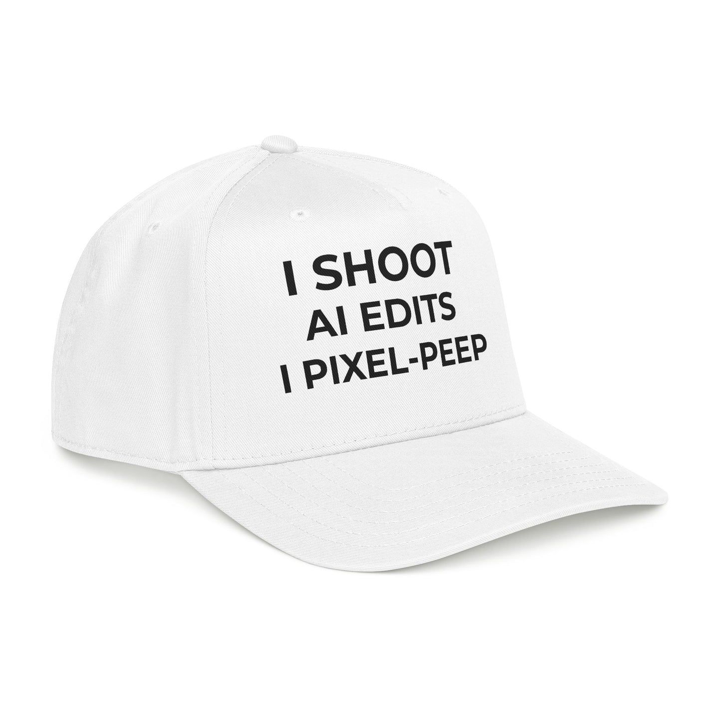 Photographer AI Joke Cat